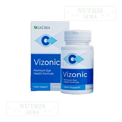 Vizonic