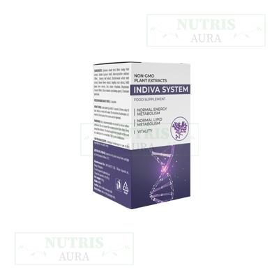 Indiva System