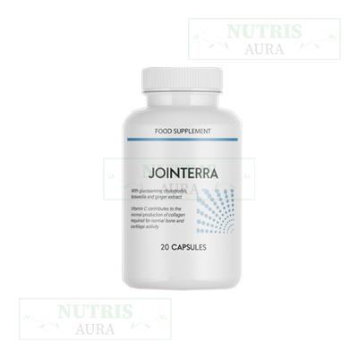 Jointerra